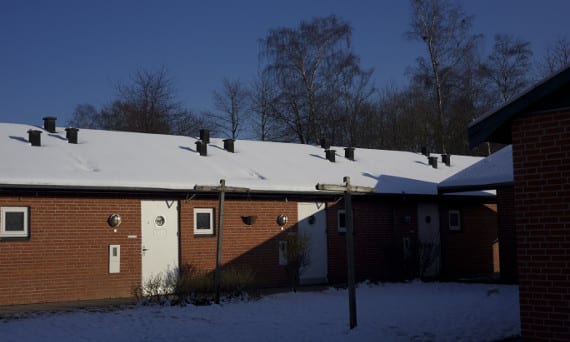 Den ene fløj på Valhalla